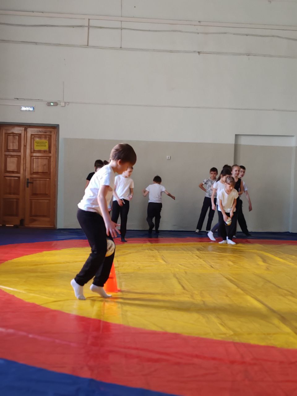 «Зоологические забеги».