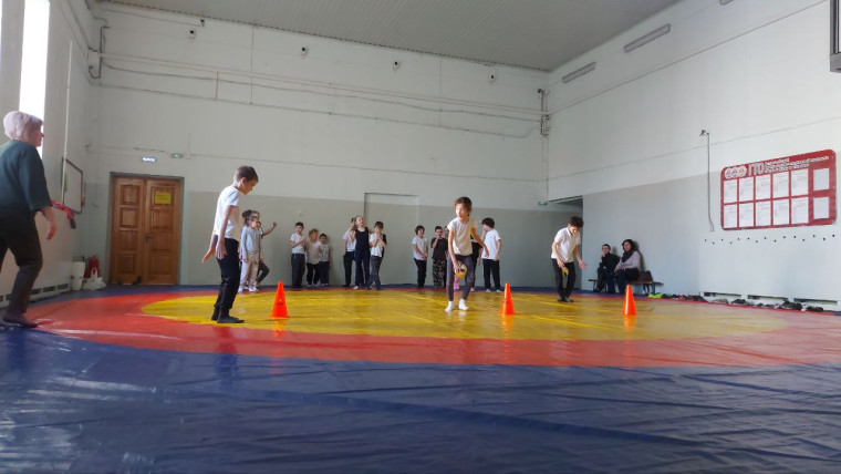 «Зоологические забеги».